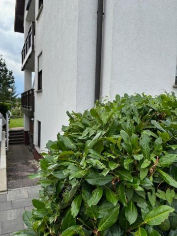 Stadtteil-Apartment Fulda Exterior photo